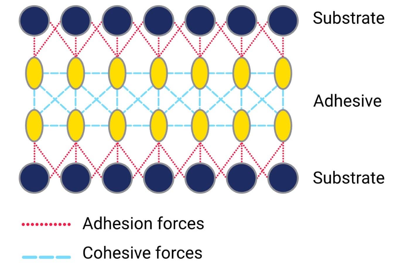 Diagram of substrates with ahesive and cohesive forces